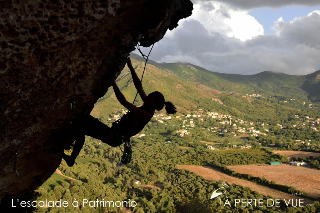 Chambre D'Hotes A 5Mn Des Plages Patrimonio Εξωτερικό φωτογραφία