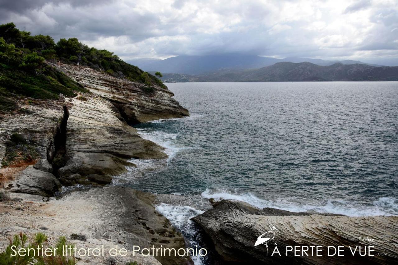 Chambre D'Hotes A 5Mn Des Plages Patrimonio Εξωτερικό φωτογραφία