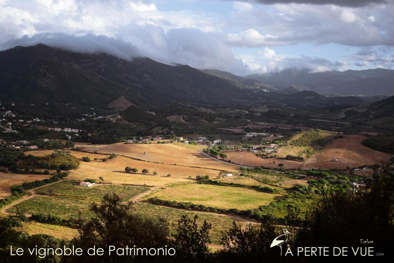 Chambre D'Hotes A 5Mn Des Plages Patrimonio Εξωτερικό φωτογραφία
