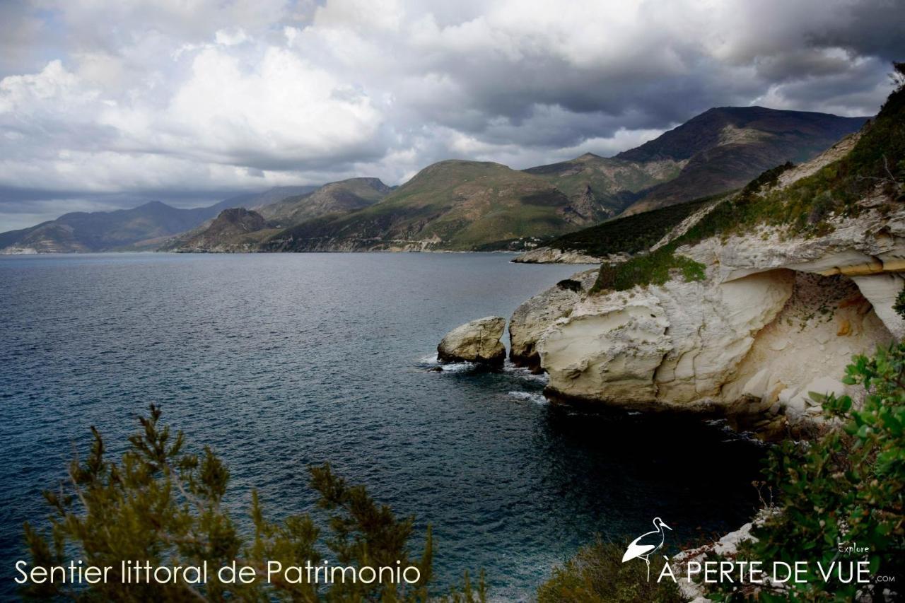 Chambre D'Hotes A 5Mn Des Plages Patrimonio Εξωτερικό φωτογραφία