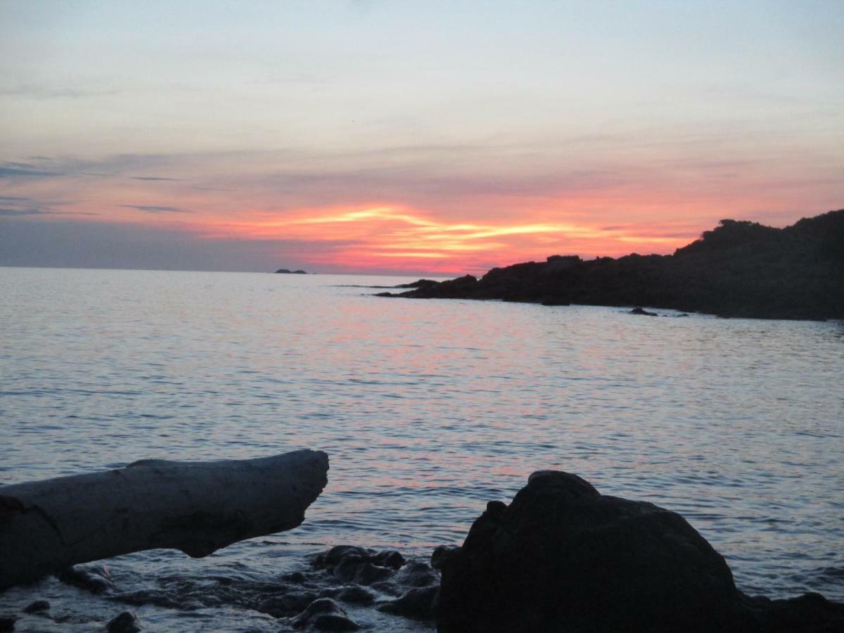 Chambre D'Hotes A 5Mn Des Plages Patrimonio Εξωτερικό φωτογραφία