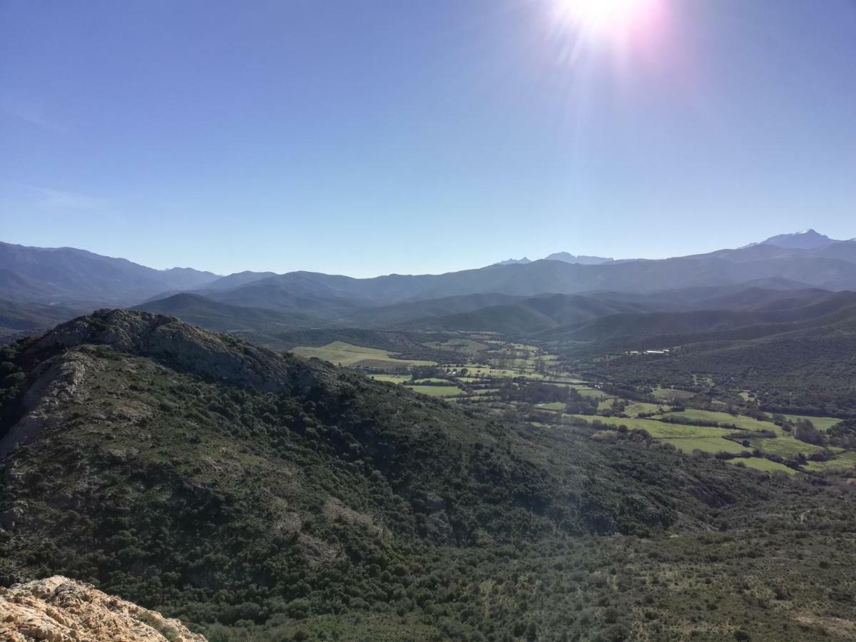 Chambre D'Hotes A 5Mn Des Plages Patrimonio Εξωτερικό φωτογραφία